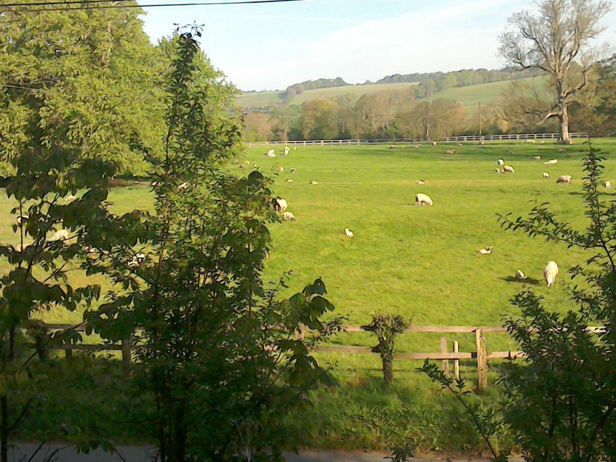 The Crown Inn Alvediston Dış mekan fotoğraf