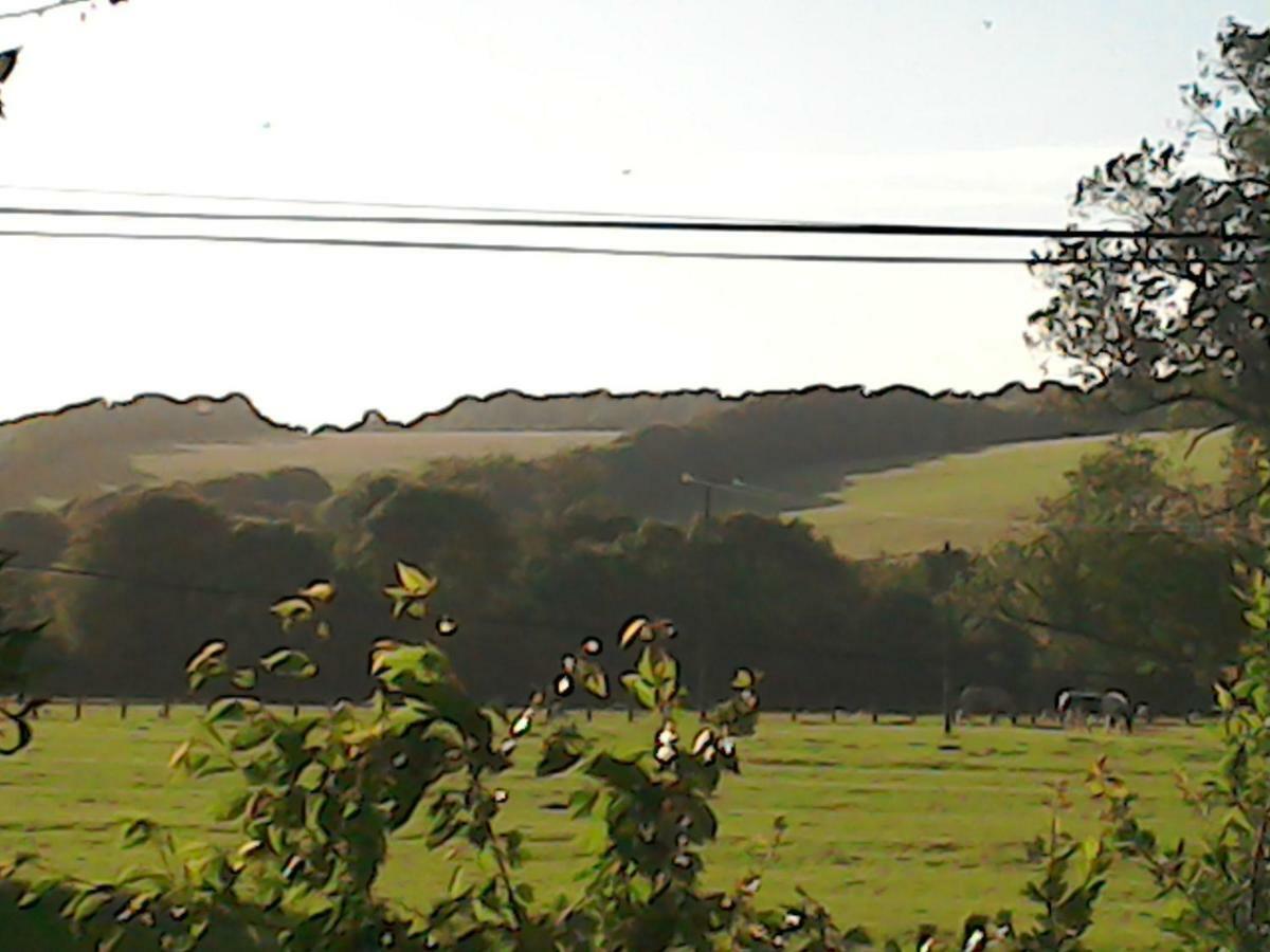 The Crown Inn Alvediston Dış mekan fotoğraf