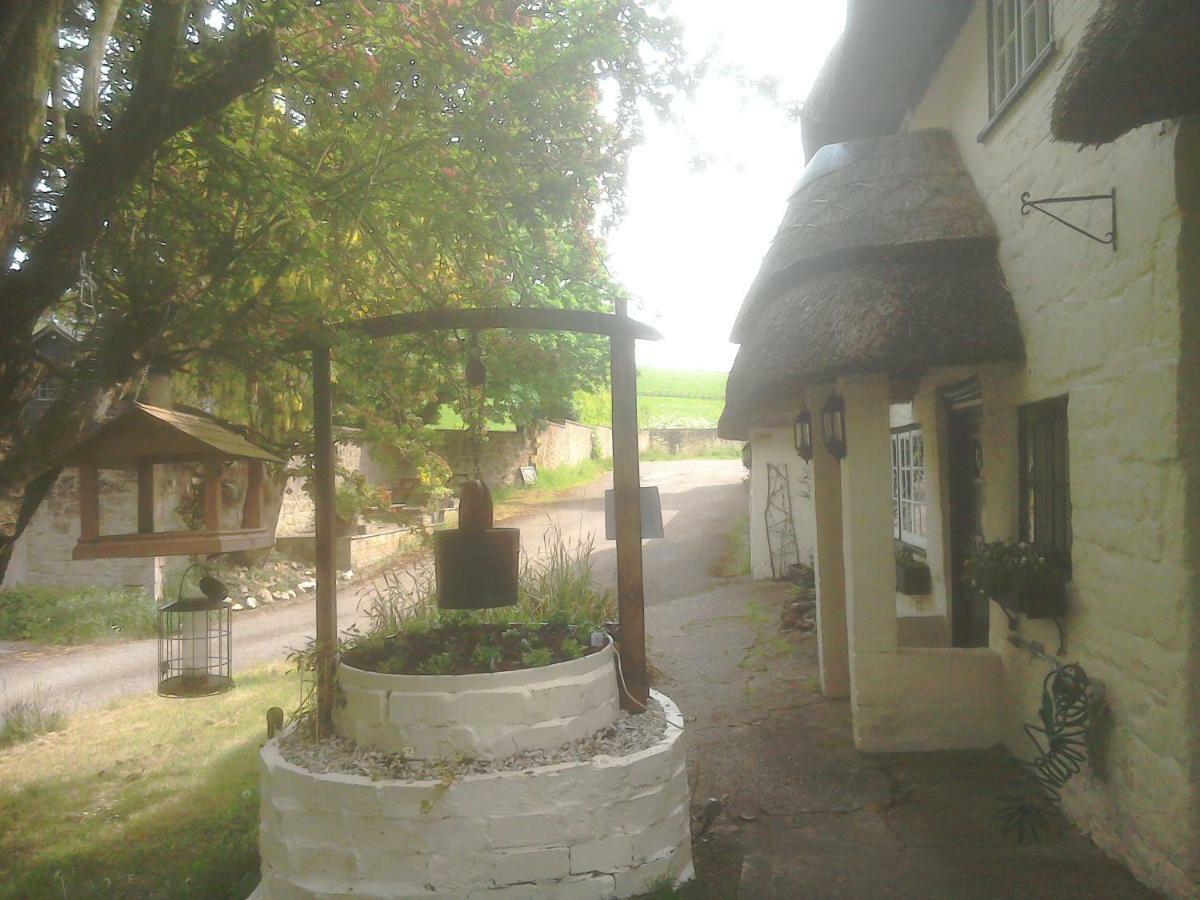 The Crown Inn Alvediston Dış mekan fotoğraf