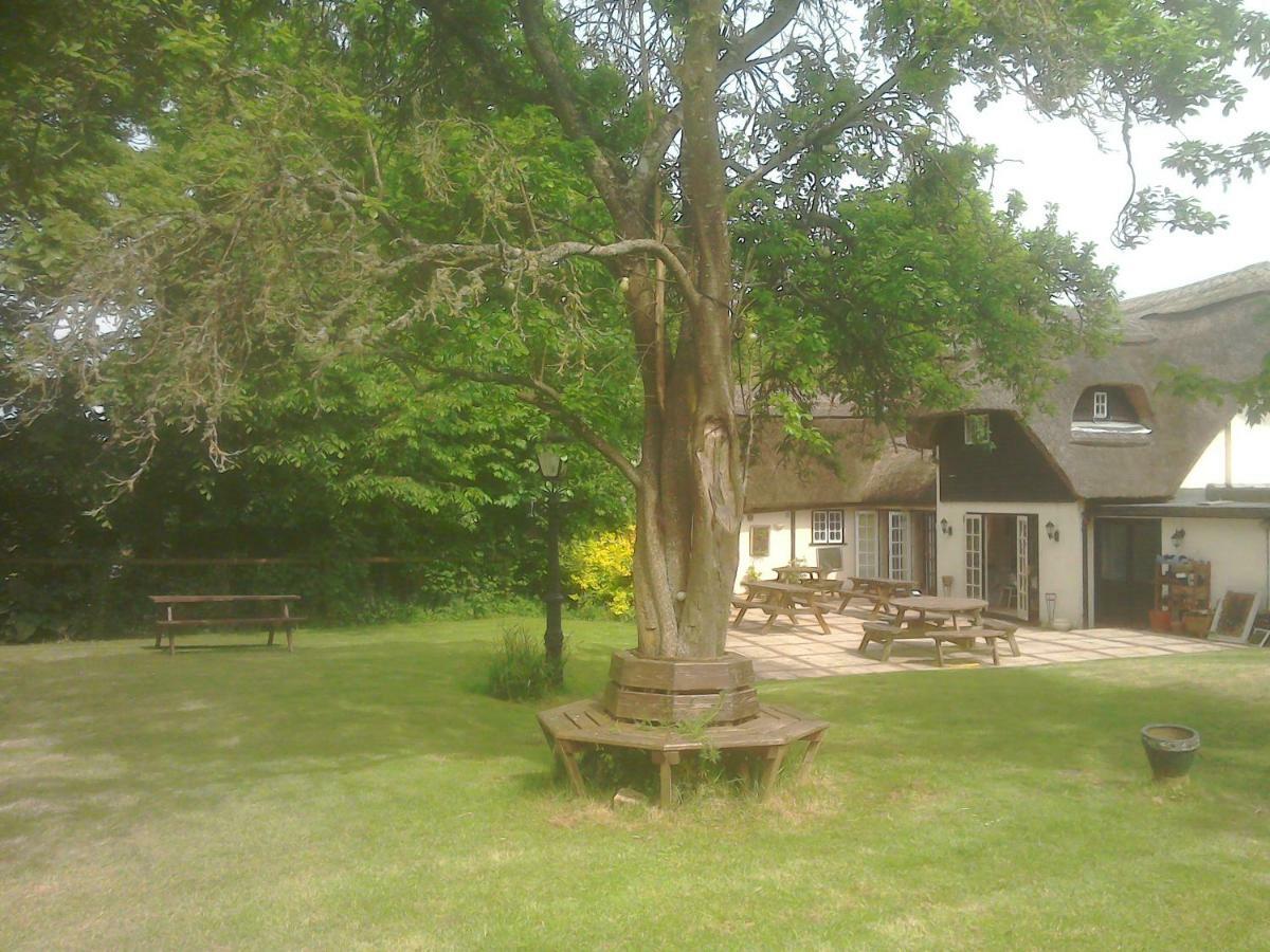 The Crown Inn Alvediston Dış mekan fotoğraf
